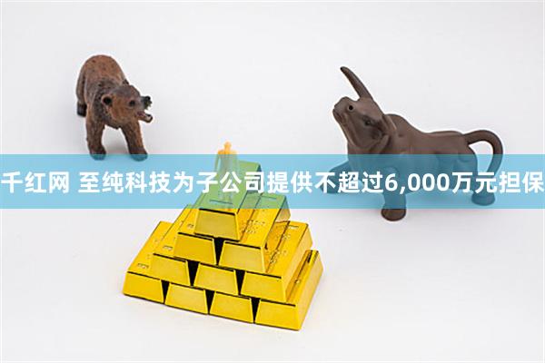 千红网 至纯科技为子公司提供不超过6,000万元担保