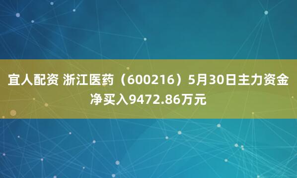 宜人配资 浙江医药（600216）5月30日主力资金净买入9472.86万元
