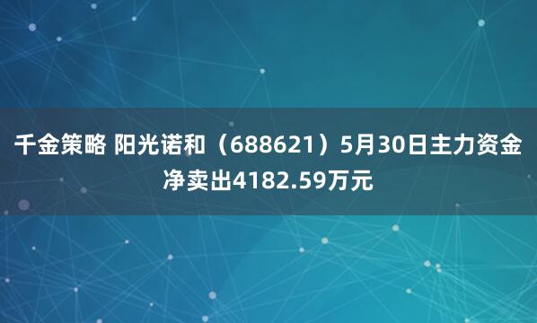 千金策略 阳光诺和（688621）5月30日主力资金净卖出4182.59万元