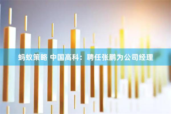 蚂蚁策略 中国高科：聘任张鹏为公司经理