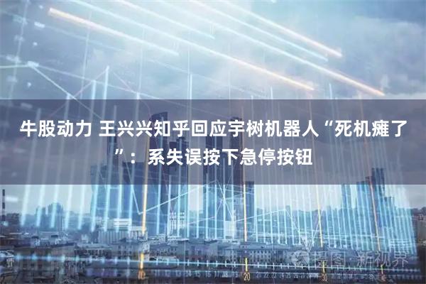 牛股动力 王兴兴知乎回应宇树机器人“死机瘫了”：系失误按下急停按钮