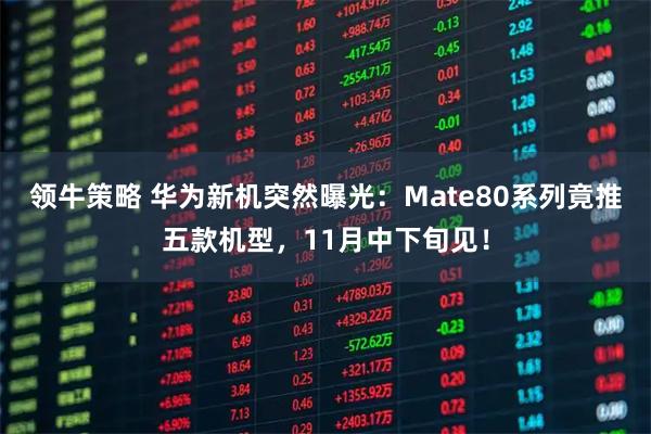 领牛策略 华为新机突然曝光:Mate80系列竟推五款机型,11月中下旬见!