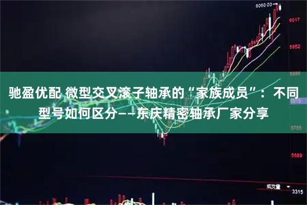 驰盈优配 微型交叉滚子轴承的“家族成员”:不同型号如何区分——东庆精密轴承厂家分享