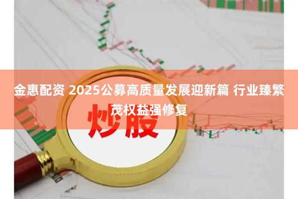 金惠配资 2025公募高质量发展迎新篇 行业臻繁茂权益强修复