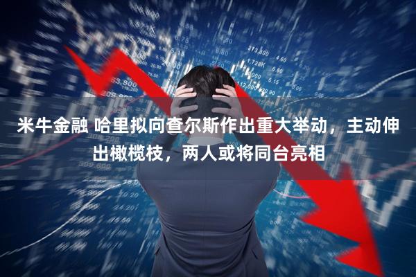 米牛金融 哈里拟向查尔斯作出重大举动，主动伸出橄榄枝，两人或将同台亮相