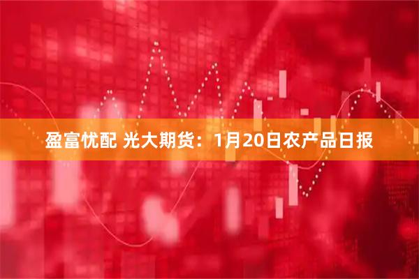 盈富忧配 光大期货：1月20日农产品日报